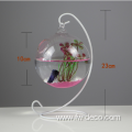 Hanging Fish Tank Glass Fish Bowl